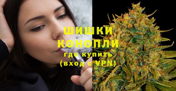 mdpv Новозыбков