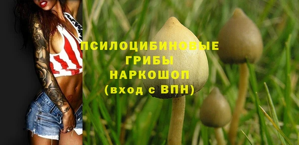 mdpv Новозыбков