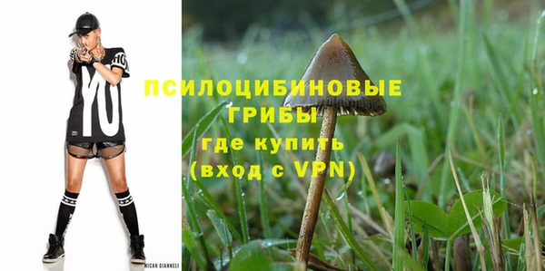 mdpv Новозыбков