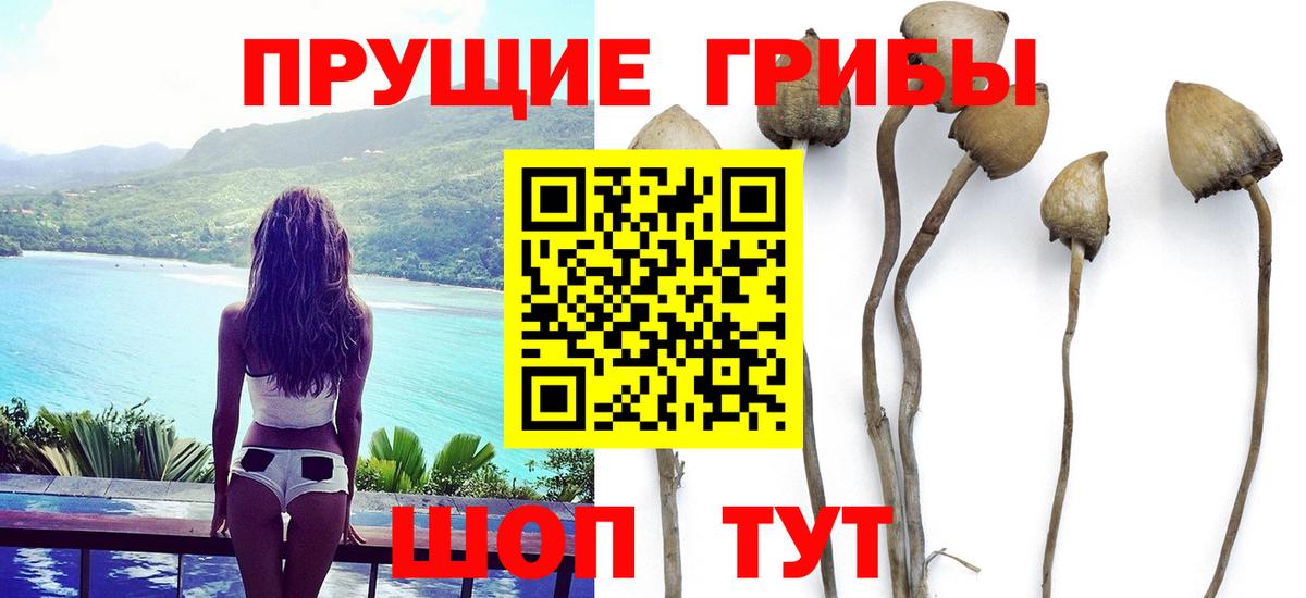 Псилоцибиновые грибы MAGIC MUSHROOMS  Псилоцибиновые грибы Psilocybine cubensis  купить закладку  Анапа 