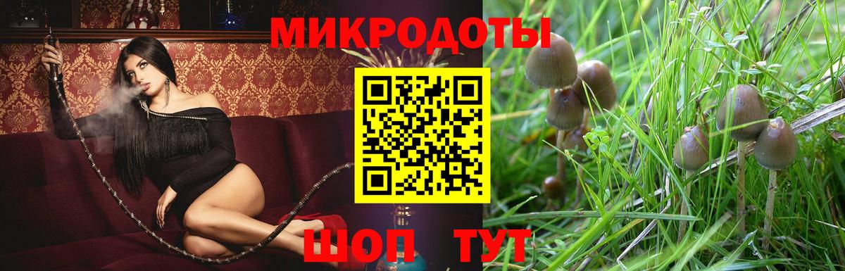 Галлюциногенные грибы Magic Shrooms  Галлюциногенные грибы мухоморы  наркошоп  Вход с VPN  Анапа 