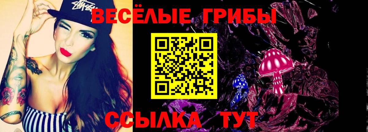 Псилоцибиновые грибы ЛСД Анапа